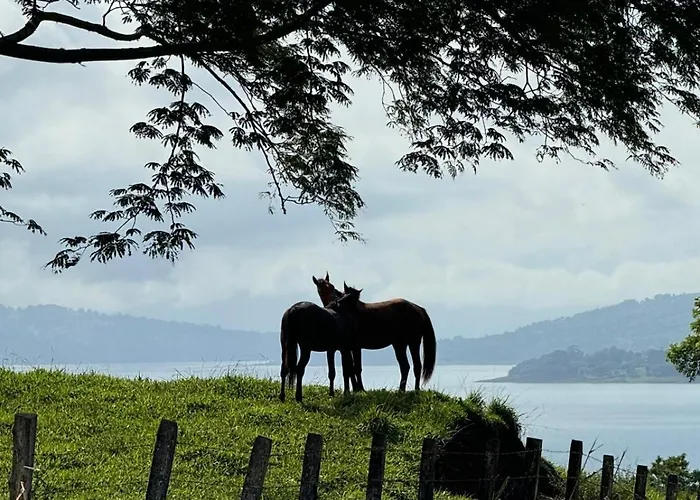 La Vista Casa de férias Piedras